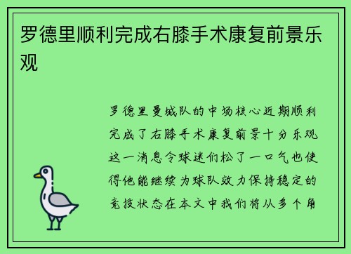 罗德里顺利完成右膝手术康复前景乐观 罗德里顺利完成右膝手术康复前景乐观